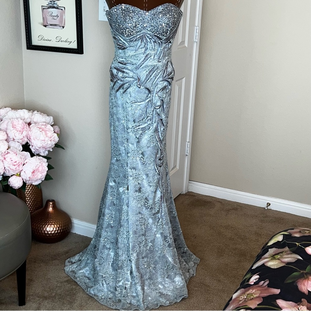 Elegant Silver Strapless Evening Gown